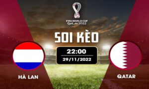 Thông tin soi kèo trận đấu giữa Hà Lan vs Qatar