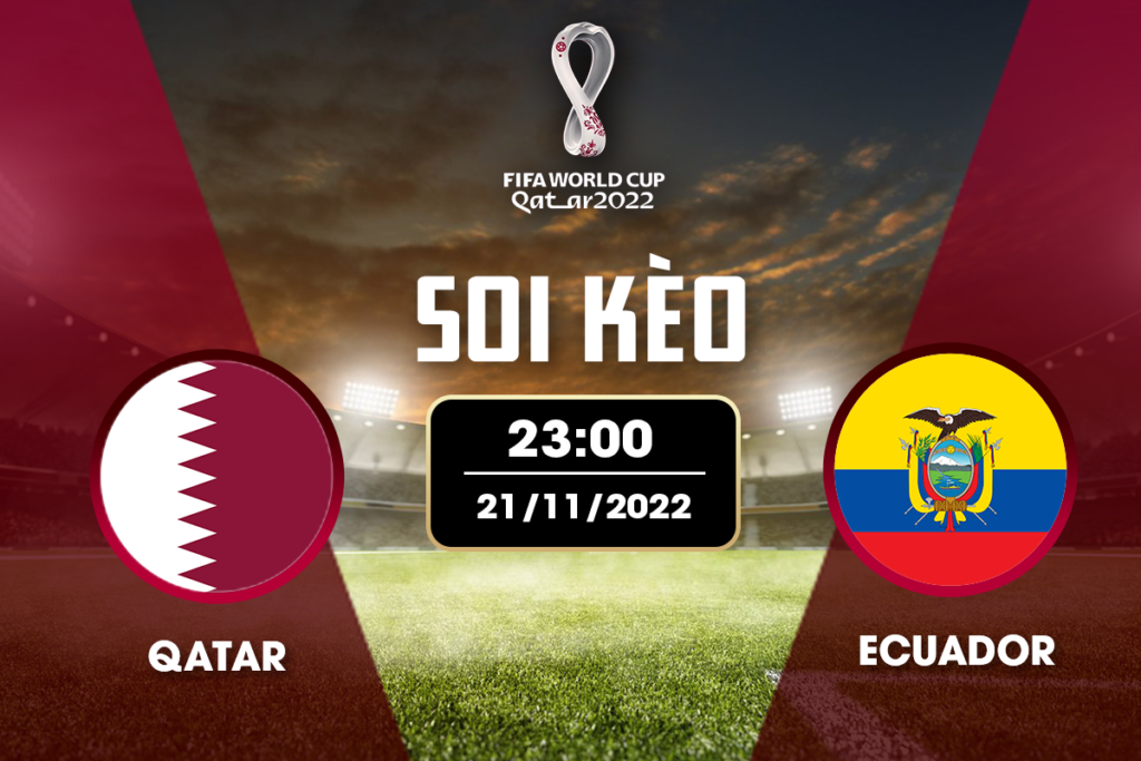 Soi kèo Qatar vs Ecuador mới nhất